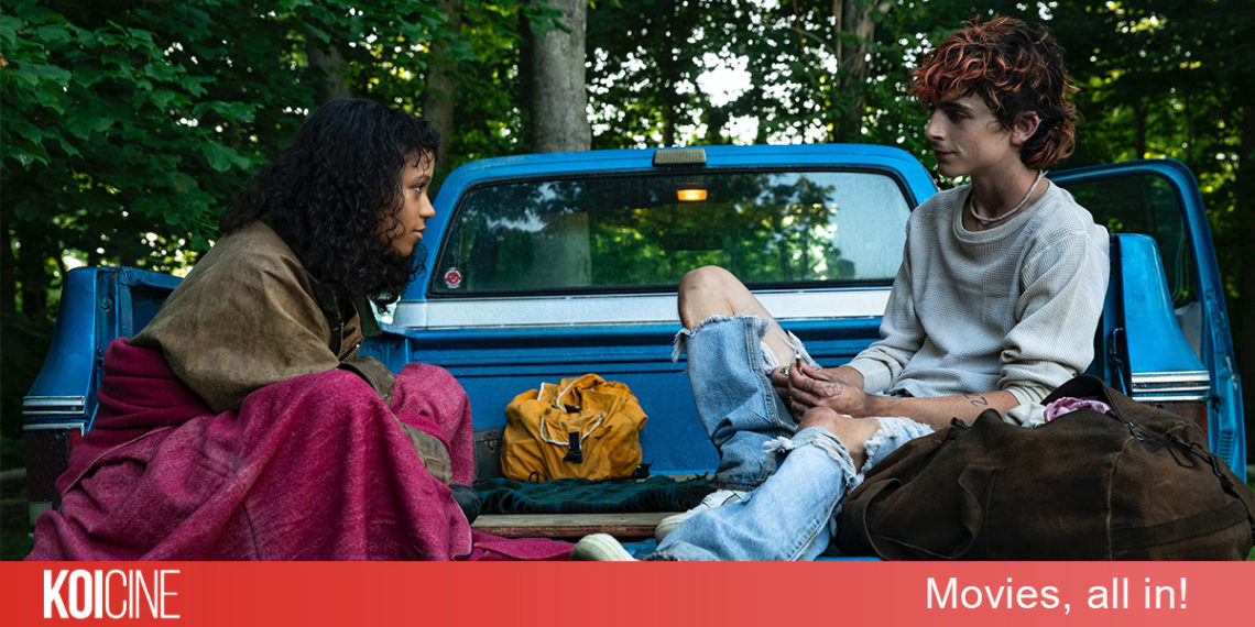 Bones And All câu chuyện tình mang màu sắc lãng mạn kinh dị