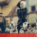 Cruella phim live-action về nhân vật phản diện nổi tiếng trong 101 Chú Chó Đóm