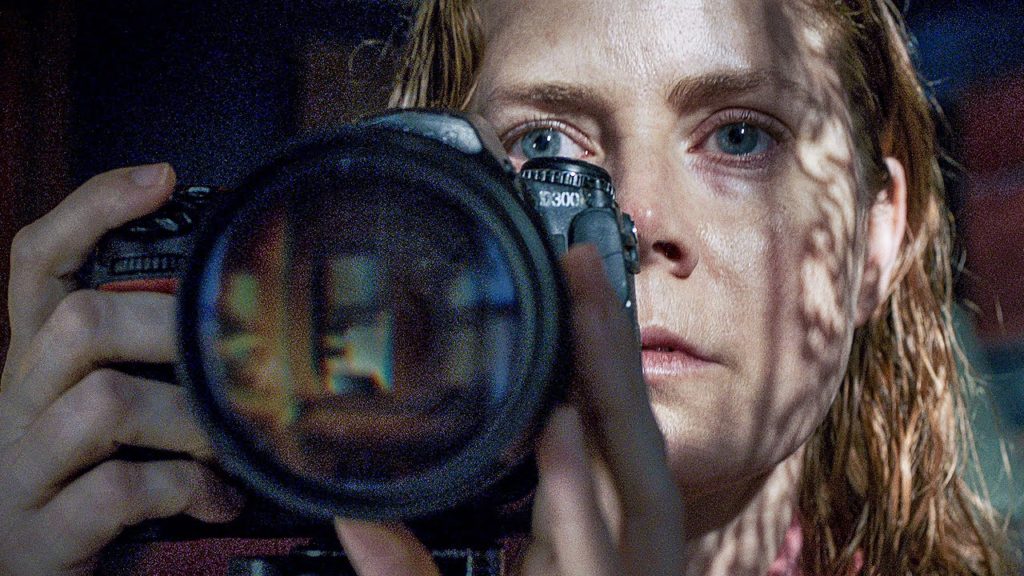 Phim Netflix tháng 5 The Woman in the Window - Bí Mật Bên Kia Khung Cửa
