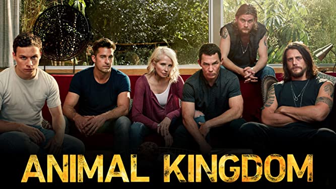 Series Netflix Animal Kingdom