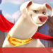 DC League of Super Pets – Liên Minh Siêu Thú DC phim hoạt hình hứa hẹn bùng nổ vào hè 2022