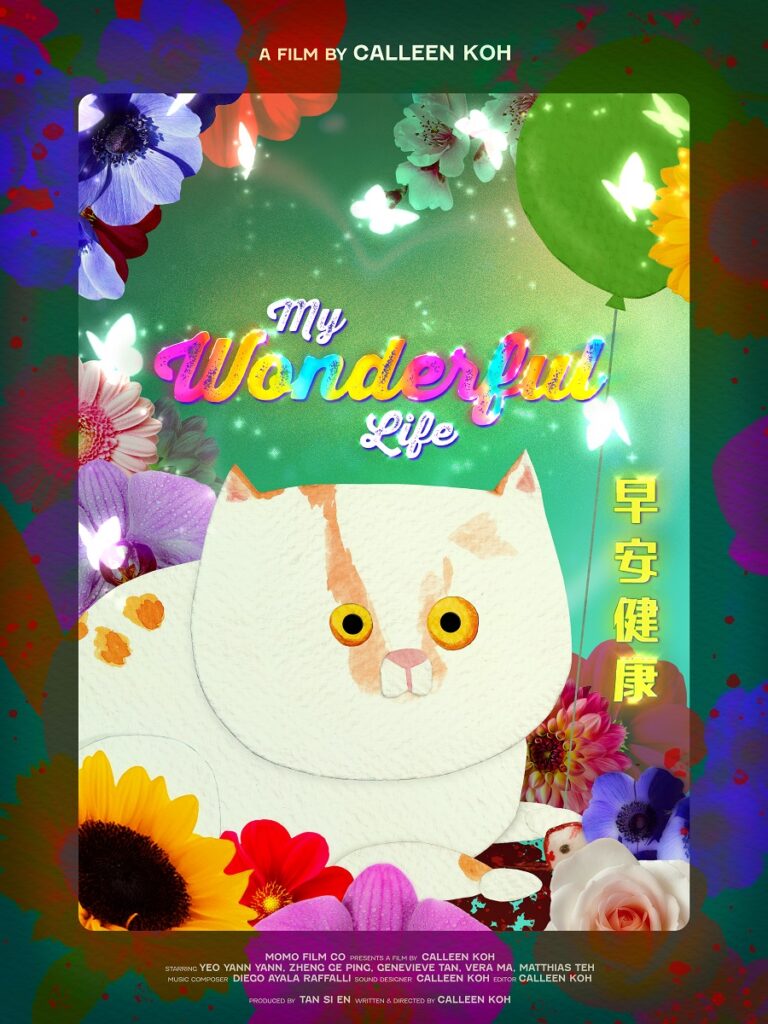 Poster phim: MY WONDERFUL LIFE